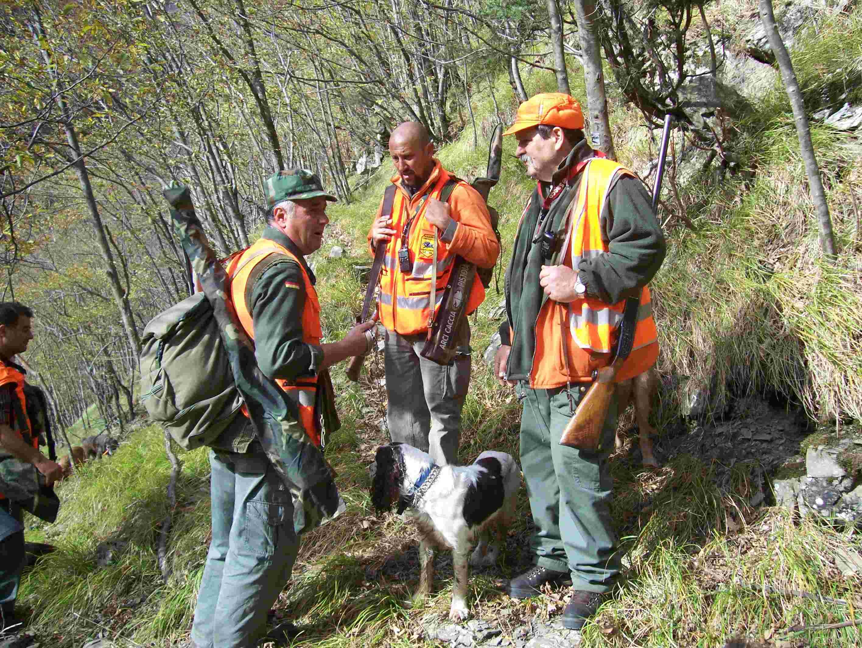  Image name: 90 Caccia.JPG 
 width: 2832 pixel 
 height: 2128 pixel 
 Size: 363679 bytes 
 Click to enlarge 